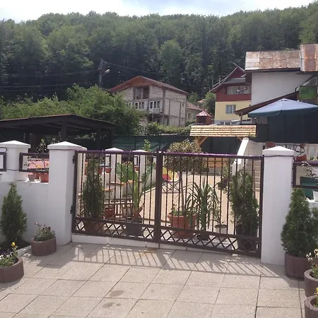 Guest house Pensiunea Eden