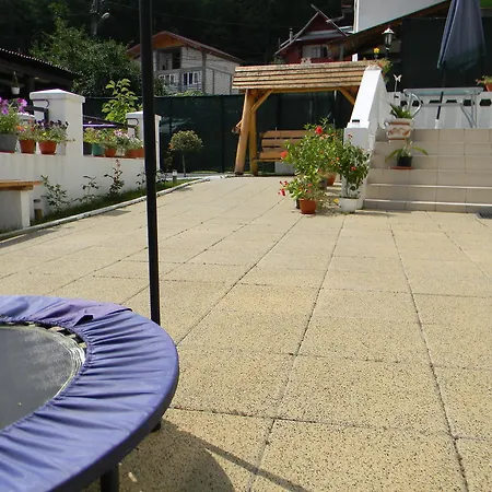 Guest house Pensiunea Eden 3*